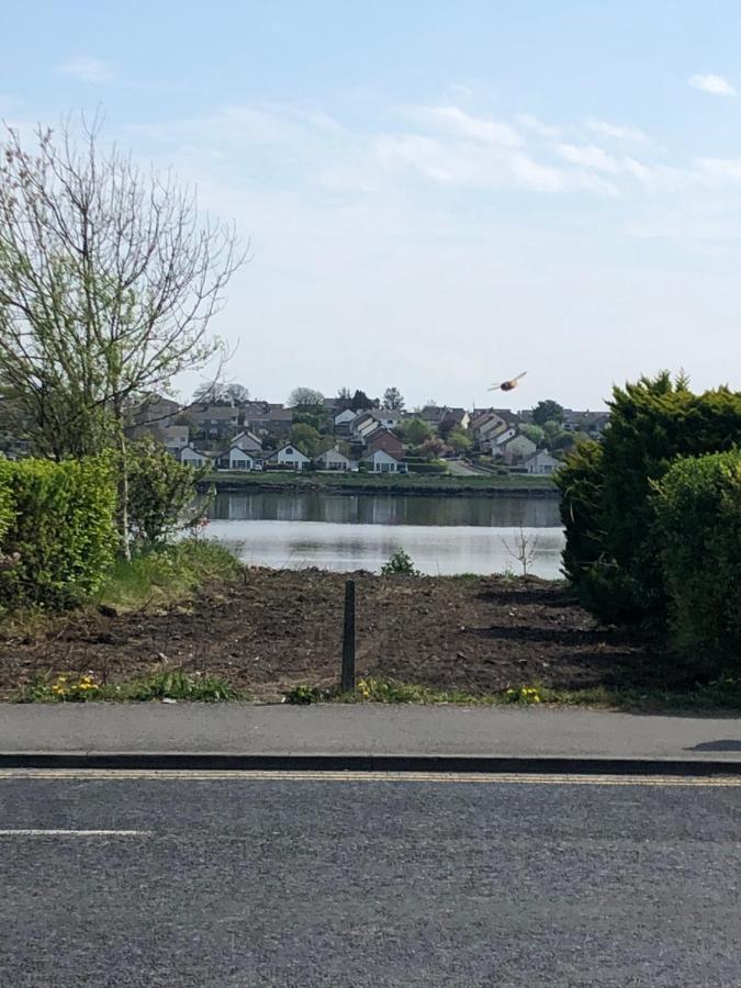 Lake View Galway City Kültér fotó